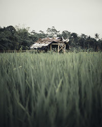 Barn on field against sky