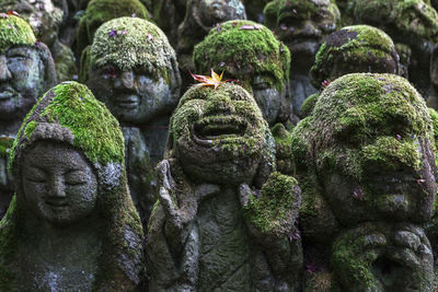 Close-up of mossy statues