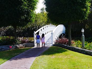 Rear view of people walking in park