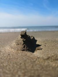 Close-up of driftwood on sand at beach against sky