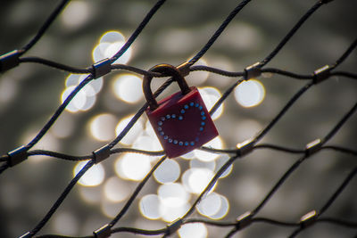 Close-up of chainlink fence