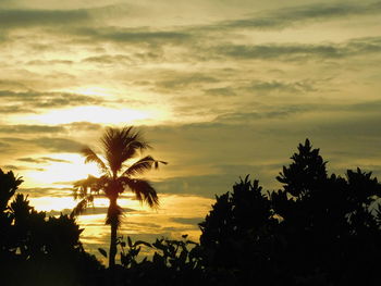 Low angle view of silhouette palm trees against sky