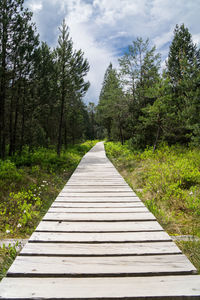 Empty footpath amidst trees in forest against sky