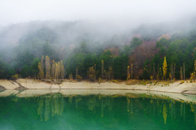 Beautiful turquoise lake among pine trees in forest in mountains in autumn fog