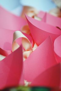 Close-up of pink flowers