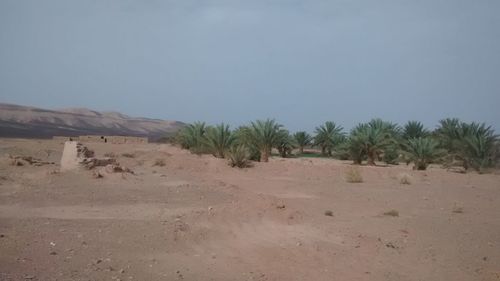 Scenic view of desert against clear sky