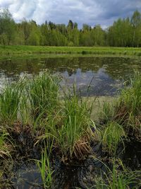 Scenic view of lake against sky