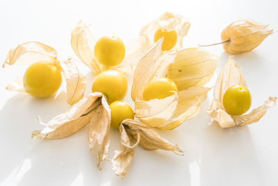 Close-up of food against white background