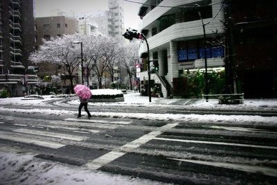 People walking on street in city