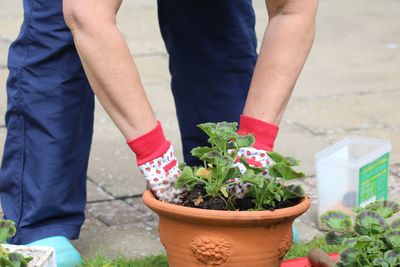 Low section of man holding potted plant