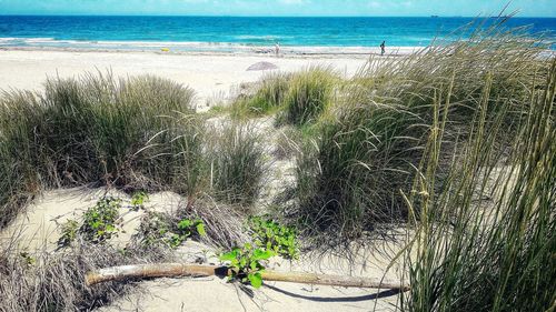 Scenic view of sea shore