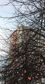 Low angle view of bare tree against sky