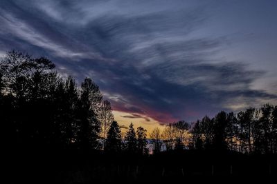 Silhouette of trees against cloudy sky