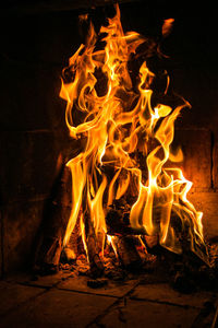 Close-up of bonfire at night
