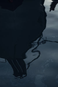 Low section of silhouette woman in lake