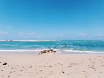 Scenic view of beach against blue sky