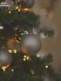 Close-up of illuminated christmas tree