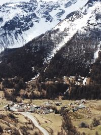 View of trees on mountain