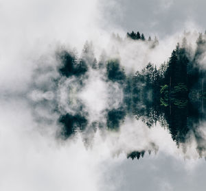 Digital composite image of trees and lake against sky