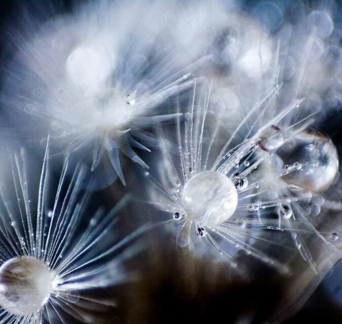 CLOSE-UP OF WATER DROPLETS