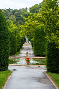 Footpath in garden