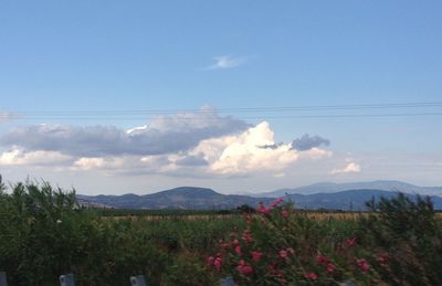 Scenic view of landscape against cloudy sky