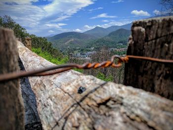 Close-up of tree and mountains against sky