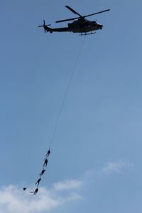 Low angle view of birds flying in sky