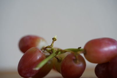 Close-up of fruits on table against white background