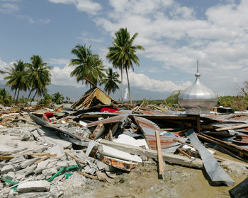 Life after tsunami