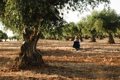 Woman using laptop while sitting at olive orchard