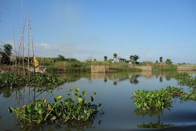 Scenic view of lake against clear sky