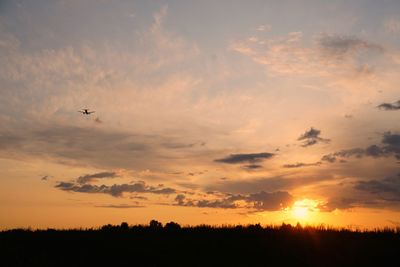 Silhouette of birds flying in sky during sunset