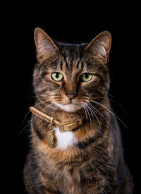 Close-up portrait of cat against black background