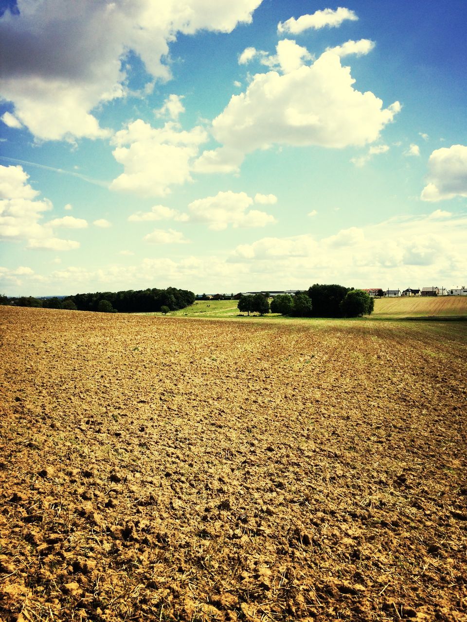 landscape, agriculture, tranquil scene, sky, rural scene, tranquility, field, scenics, beauty in nature, nature, farm, horizon over land, crop, cloud - sky, cloud, growth, dry, day, cultivated land, outdoors