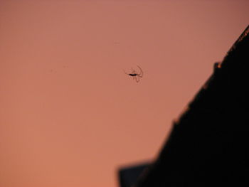 Low angle view of spider in the sky