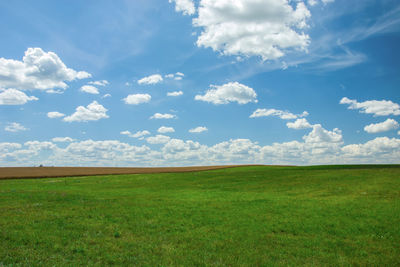 Big green field and white clouds on blue sky - view on a sunny day