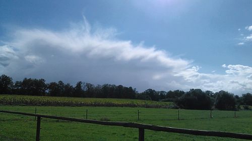 Scenic view of grassy field against sky