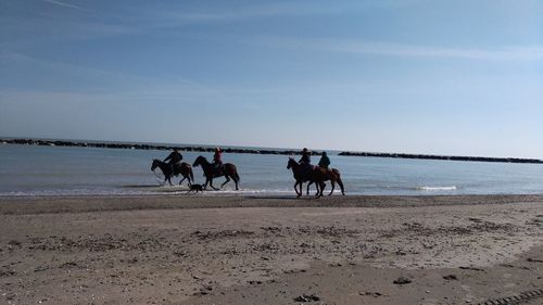 People riding horses on beach