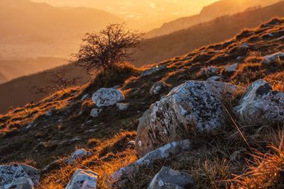 Scenic view of land against sky during sunset