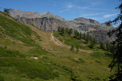 Scenic view of landscape against sky