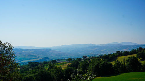 Scenic view of landscape against clear sky