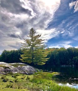 Scenic view of landscape against sky