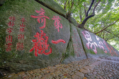 Graffiti on tree trunk in forest