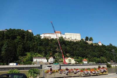 Trees in city against clear sky