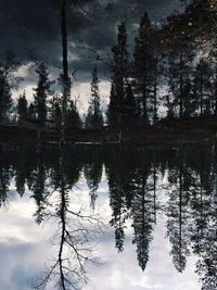 Reflection of trees in lake against sky