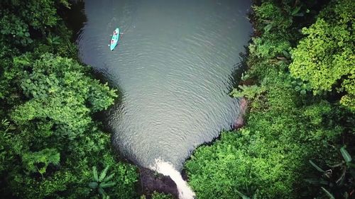 High angle view of turtle in shallow water