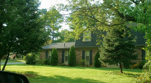 House amidst trees against sky