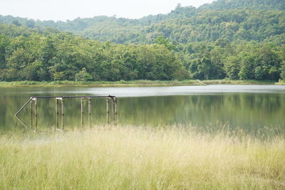 Scenic view of lake by trees