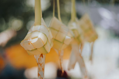 Ketupat or rice dumpling is traditional food in malaysia during eid celebration. 